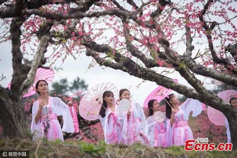 peach blossom tribe discussion