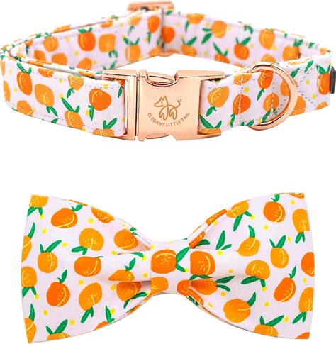Peach Colored Dog Collar