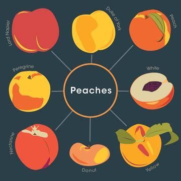 Peaches In Different Languages