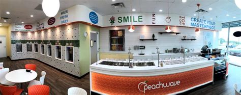 peachwave yogurt franchise