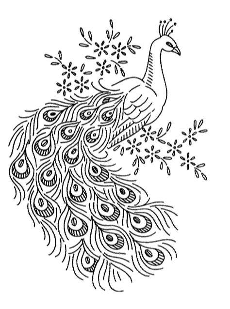 Peacock Drawing Black And White Cliparts.co