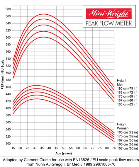FREE 6+ Sample Peak Flow Chart Templates in PDF MS Word