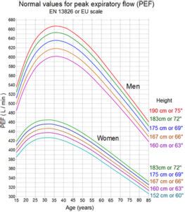 Peak Flow Meter Low Range Vs Standard