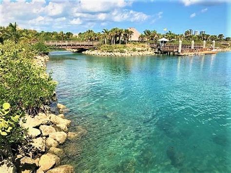 Peanut Island Tripadvisor