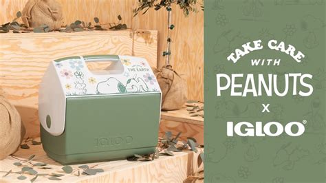 Peanuts Igloo Cooler