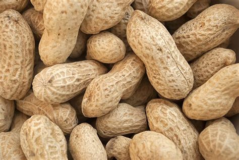 Peanuts In Shell Cholesterol