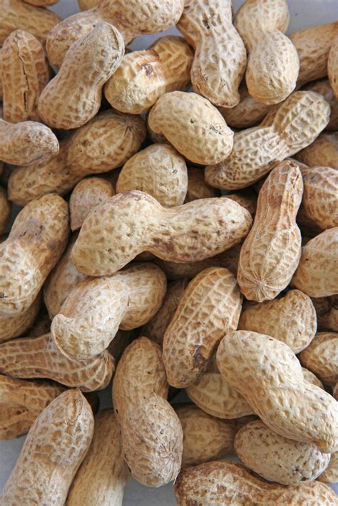Peanuts In Shell Nz