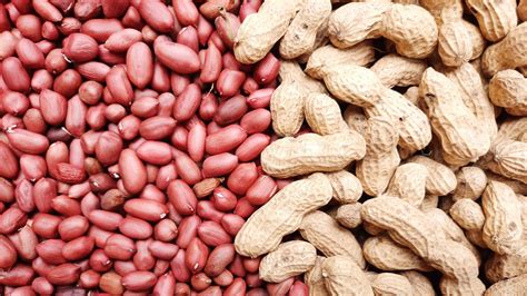 peanuts in shell vs shelled