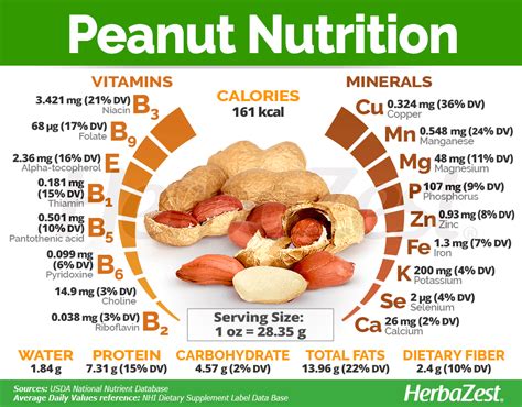 Peanuts Raw Calories