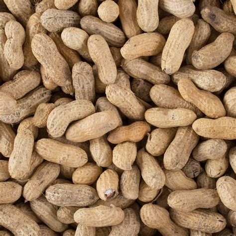 Peanuts Unsalted In Shell