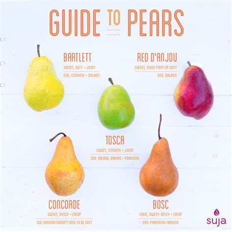 Pear Varieties Pattern Chart Graph