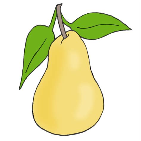 Pear In Drawing