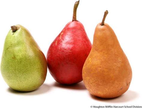 Pear Old Definition