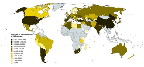 Pear Production Data