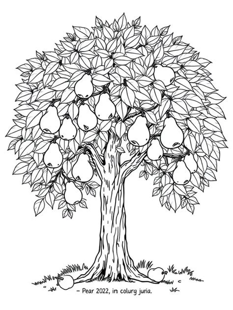 Pear Tree Coloring Page