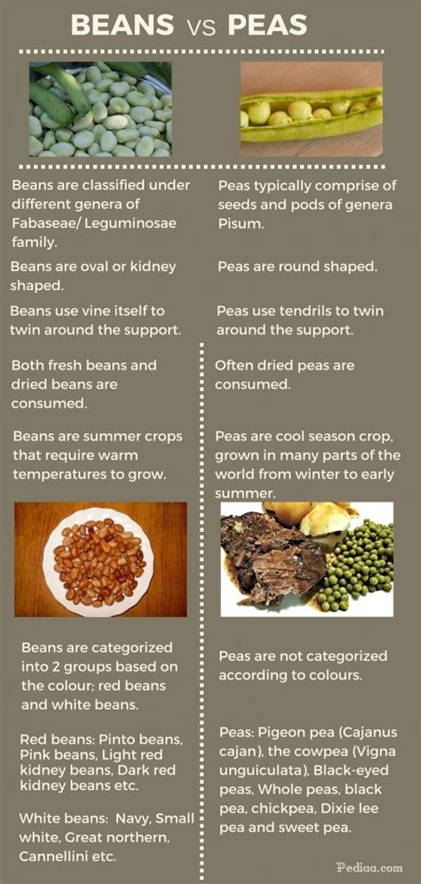 Peas And Beans Difference