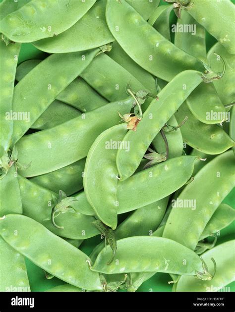 Peas In A Pod Explanation