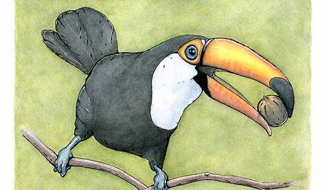 Pecan Bird Drawing Toucan 150cm Or A0 Size Street Parrot Tropical