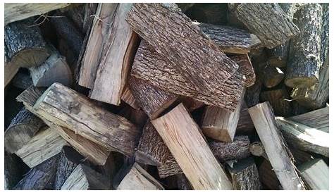 Pecan Logs Woodchuck Firewood