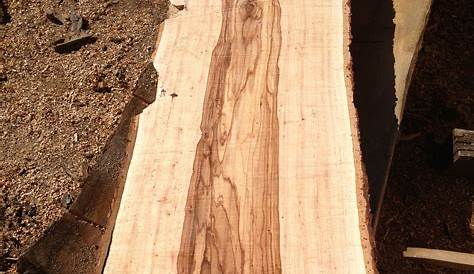 Pecan Wood Slab , , Hardwood