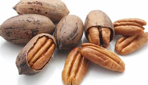 Pecan Everything Discussed At Harvest Tour In Kansas