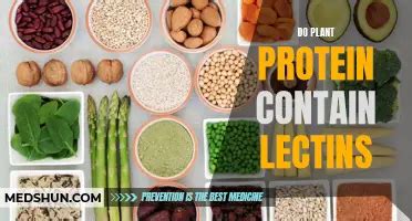 Pecans And Lectins