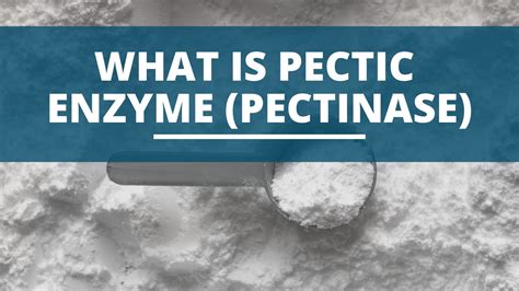 Pectic Enzyme Alcohol