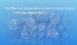 Pectic Enzyme Temperature
