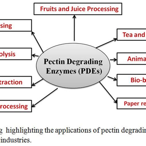 Pectin Degrading Enzyme