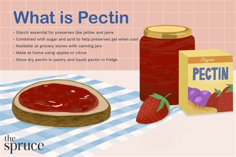 Pectin Meaning Latin