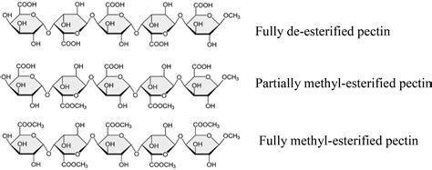 Pectin Methylesterase Meaning