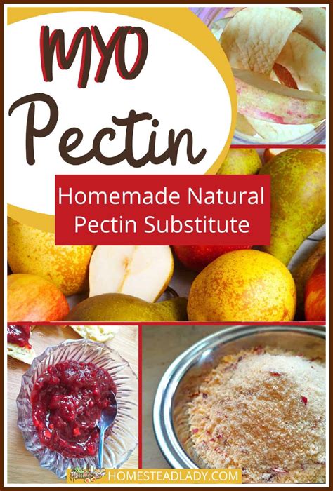 Pectin Natural Alternative