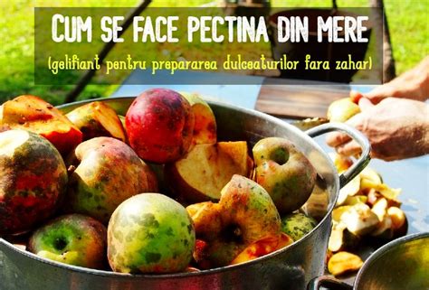 Pectina De Mere