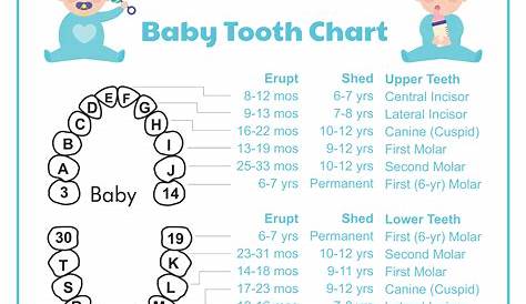 Pediatric Teeth Chart Letters