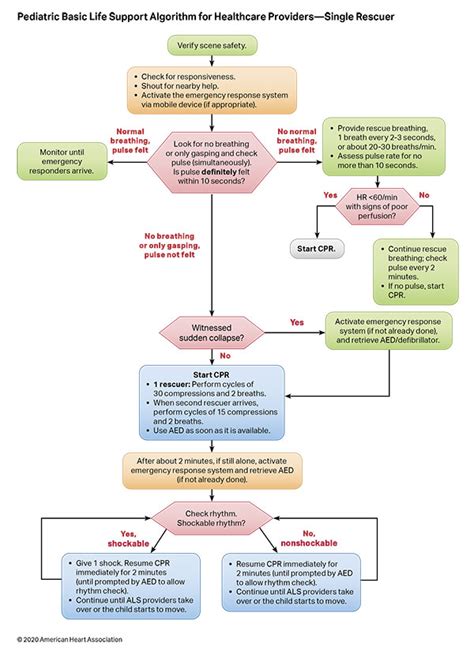 pediatric basic life support algorithm aha