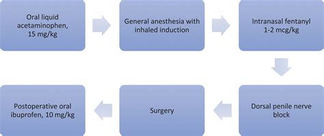 Pediatric Circumcision Anesthesia
