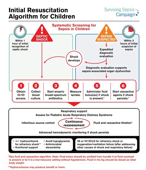 pediatric sepsis guidelines 2023