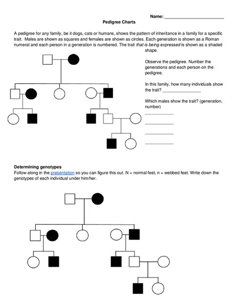 pedigree worksheet answer sheet