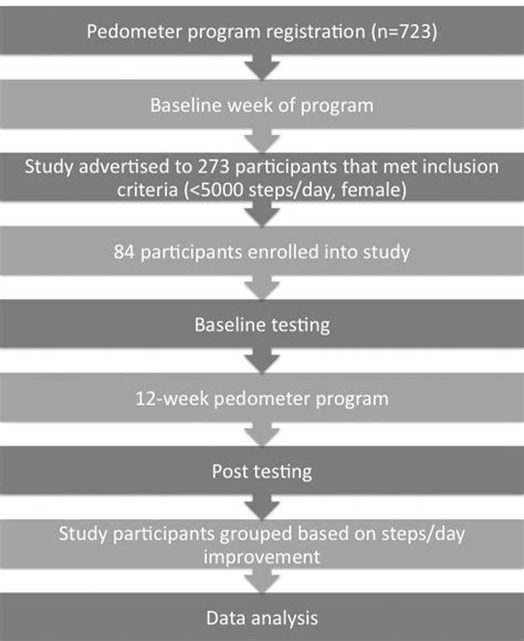Pedometer Program Definition