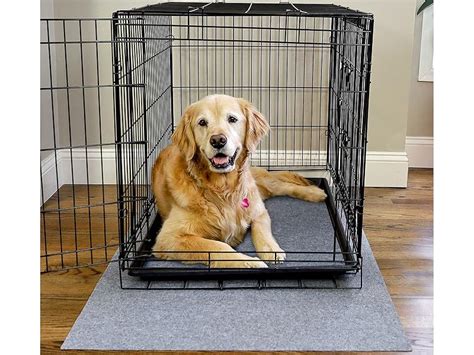 Pee Mat For Dog Crate