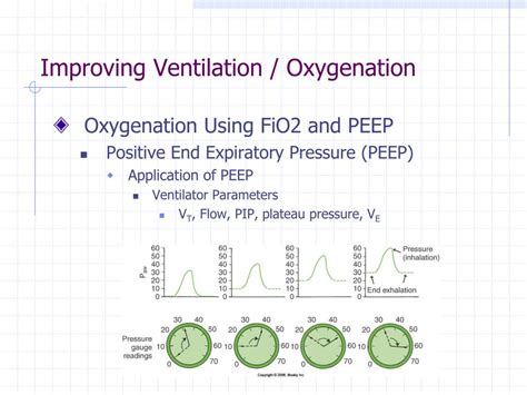 5 Peep Application Tips