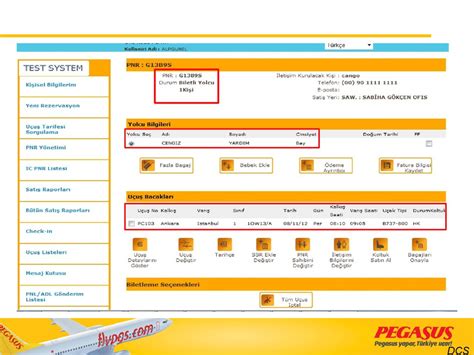 pegasus airlines check in