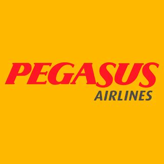 pegasus airlines check in at airport