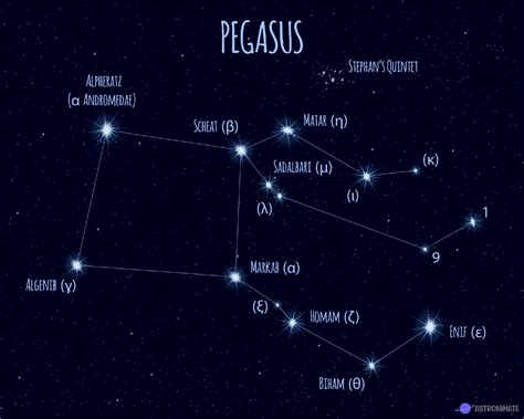 pegasus constellation with star names