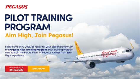 pegasus flight training