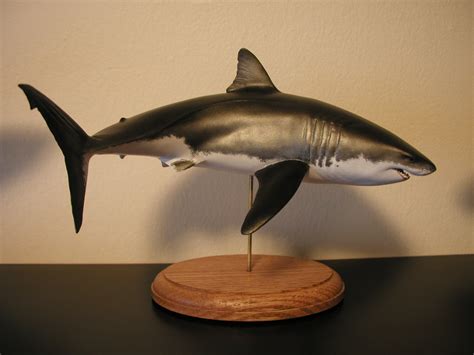 pegasus great white shark