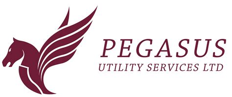 pegasus group ltd services