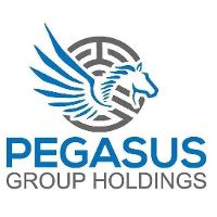 pegasus holdings iii llc