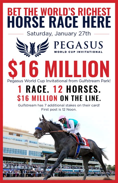 pegasus horse race 2024 results