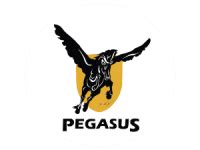 pegasus international group pty ltd